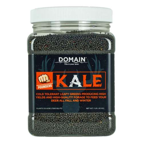Domain Outdoor Kale Seed
