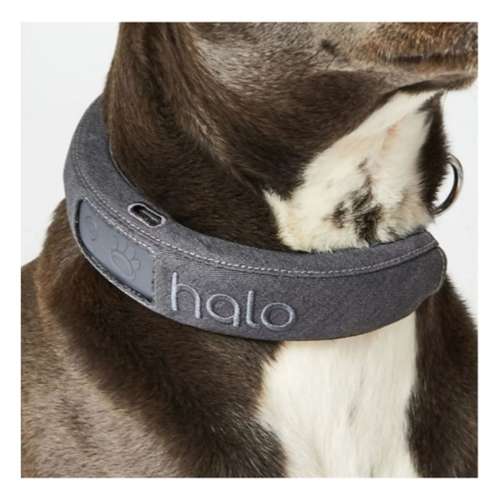 Halo 3 Wireless Dog Fence and GPS Dog Collar
