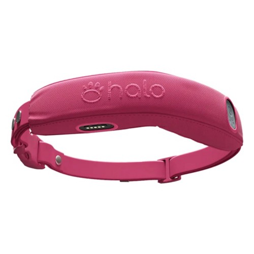 Halo 4 Dog Fence and GPS Dog Collar - Primary Image
