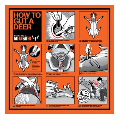 how to gut a deer
