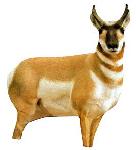Montana Decoy Antelope Decoy