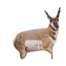 Montana Decoy Eichler Antelope Decoy