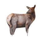 Montana Decoy RMEF Cow Elk Decoy