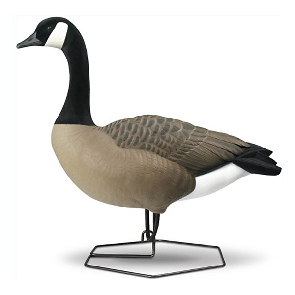DOA DECOYS Rogue Series Canada Goose Mixed 6-Pack