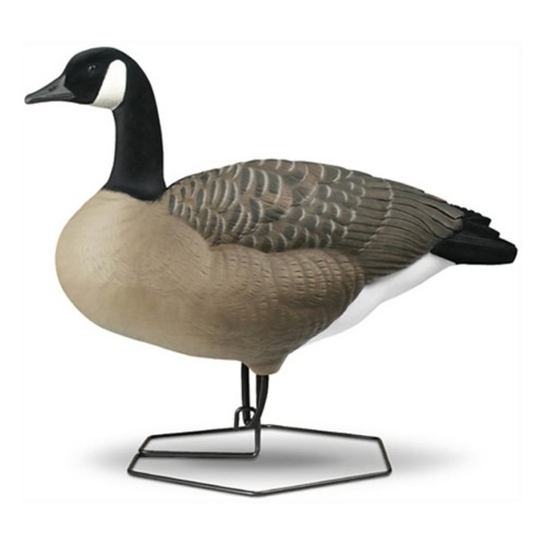 DOA Decoys Rogue Series Canada Goose Mixed 6-Pack