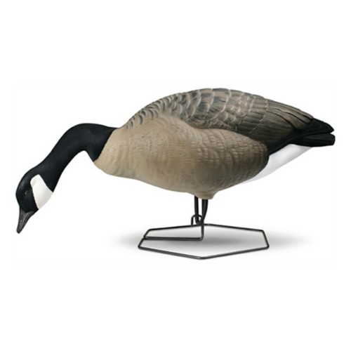DOA Decoys Rogue Series Canada Goose Mixed 6-Pack