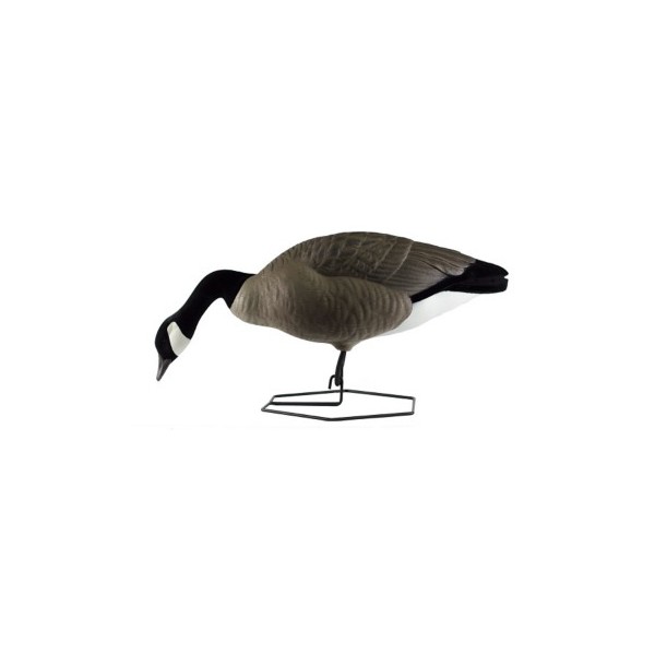 DOA DECOYS Rogue Series Feeder Goose 6-Pack