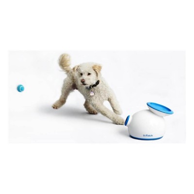 where to buy ifetch dog toy