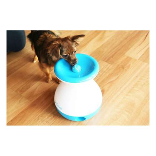 iFetch Frenzy Dog Toy