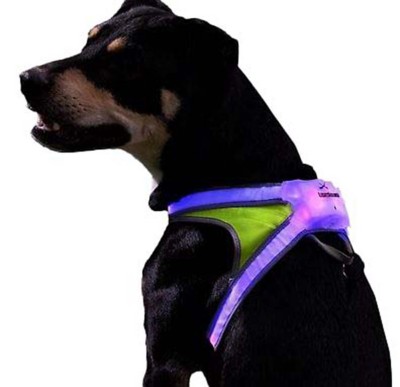 noxgear dog harness