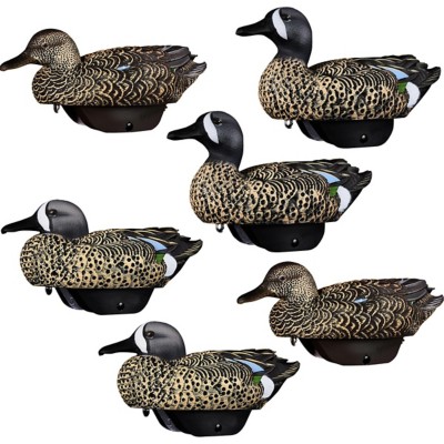 Heyday HydroFoam Blue Winged Teal 6 Pack