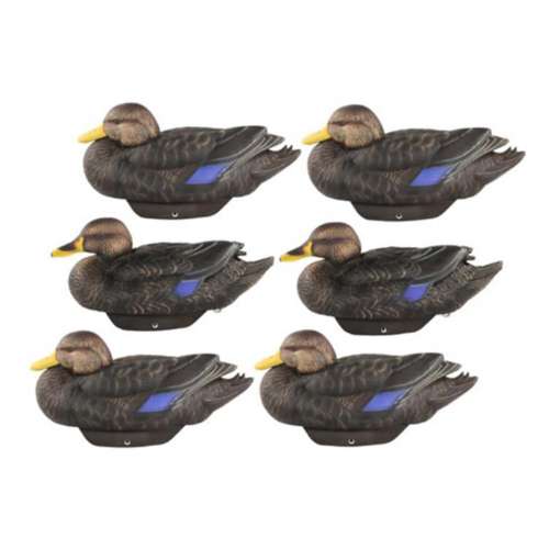 Lifetime Decoys Black Duck FlexFloat 6 Pack