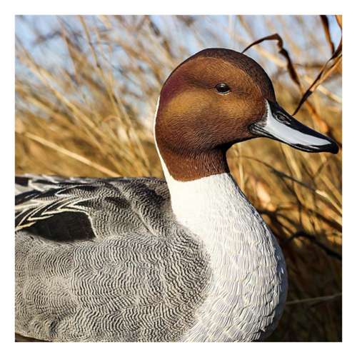 Heyday FlexFloat Pintail Decoys 6 Pack