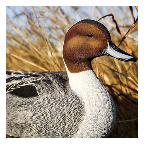 Lifetime Decoys FlexFloat Pintail Decoys 6 Pack