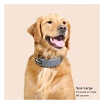 SpotOn GPS Fence Dog Collar - Thumbnail 6 of 6
