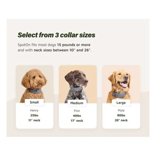 SpotOn GPS Fence Dog Collar