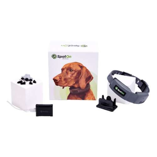 Spoton Fence Verizon GPS Dog Fence, Medium