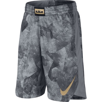 youth lebron shorts