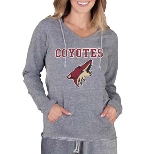 Concepts Sport Women's Arizona Coyotes Mainstream Hoodie