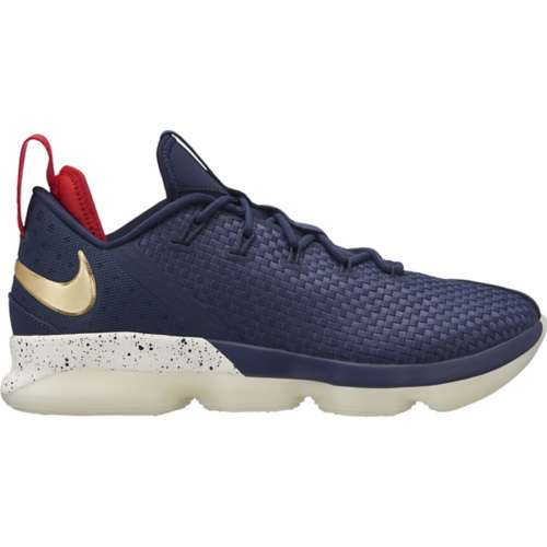 Lebron xiv basketball on sale shoes