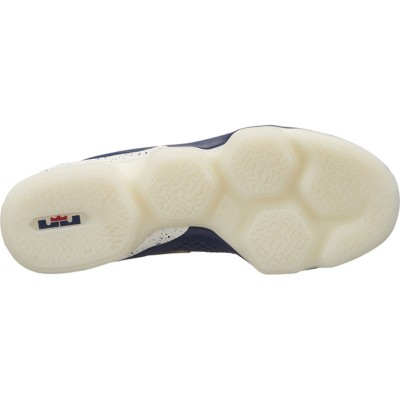 lebron xiv low mens basketball shoes