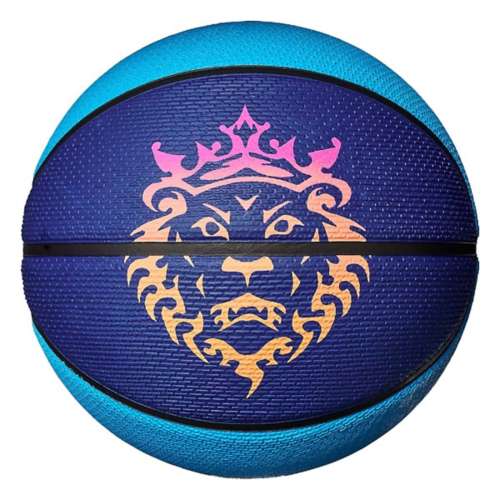 Lebron james hot sale playground basketball