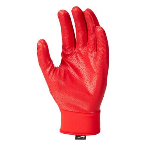 Boys' Nike Alpha Baseball Batting Gloves