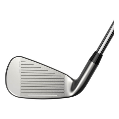 Cobra DS-ADAPT Irons