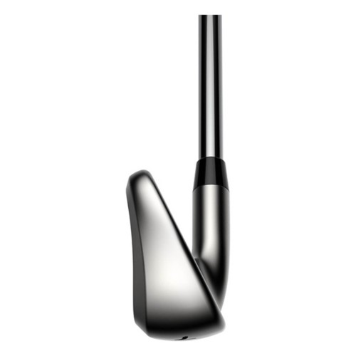 Cobra DS-ADAPT Irons