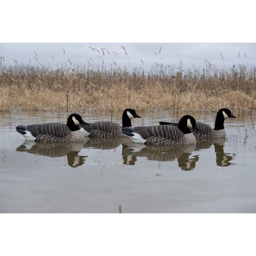 Avian-X Topflight Lessers Floating Goose Decoy 4 Pack