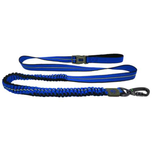 Seattle Seahawks Bungee Ribbon Pet Leash