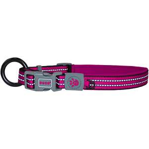 Buffalo Bills pink dog collar