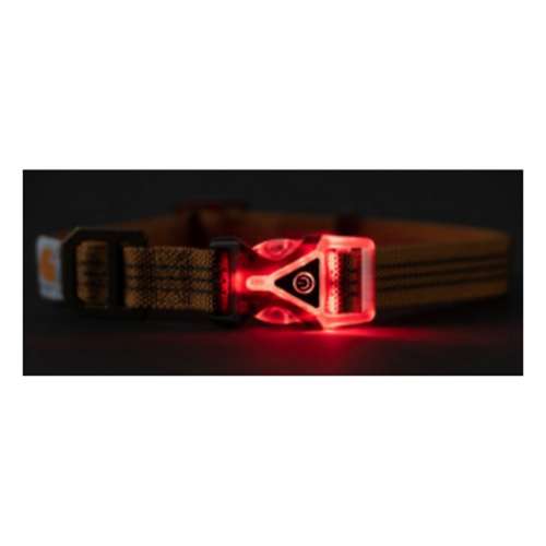 Carhartt lighted hot sale dog collar