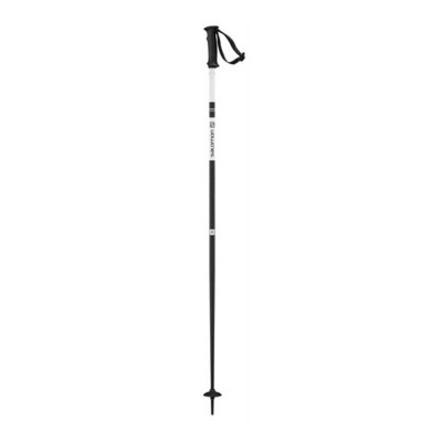 rossignol ski pole replacement baskets