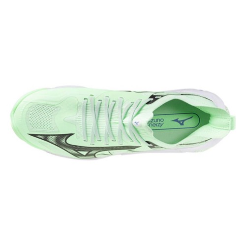 Adult Mizuno Wave Lightning Neo 3 Volleyball Shoes