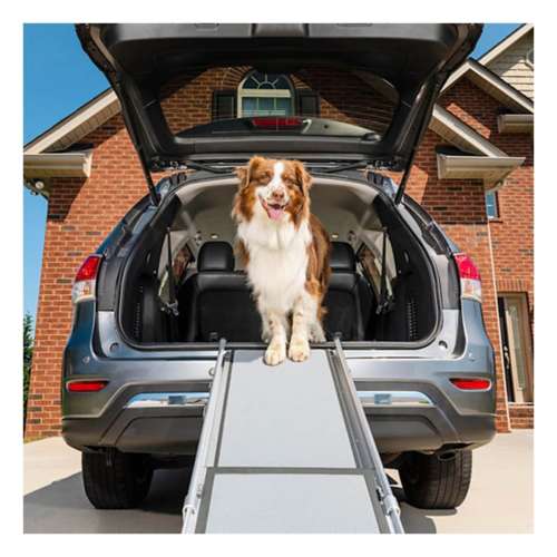 Petsafe solvit telescopic outlet dog ramp