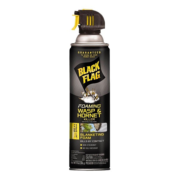 Black Flag Foam Wasp and Hornet Killer 14 oz - Black Flag