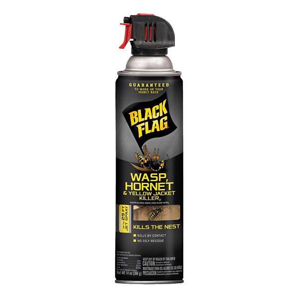 Black Flag Aerosol Wasp and Hornet Killer 14 oz - Black Flag