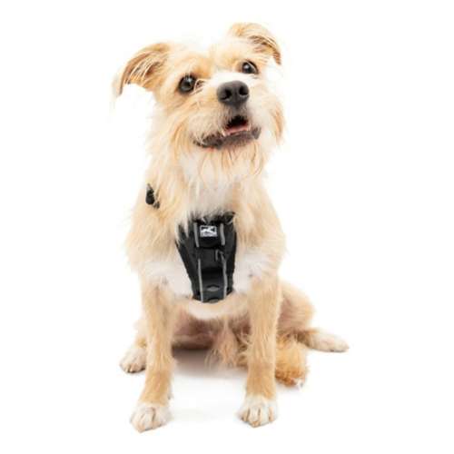 Kurgo Tru-Fit Smart Dog Harness