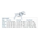 Kurgo Tru-Fit Smart Dog Harness