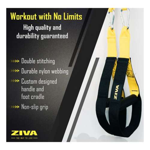 ZIVA Body Weight Training System