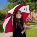 Wincraft Arizona Cardinals Auto Folding Umbrella