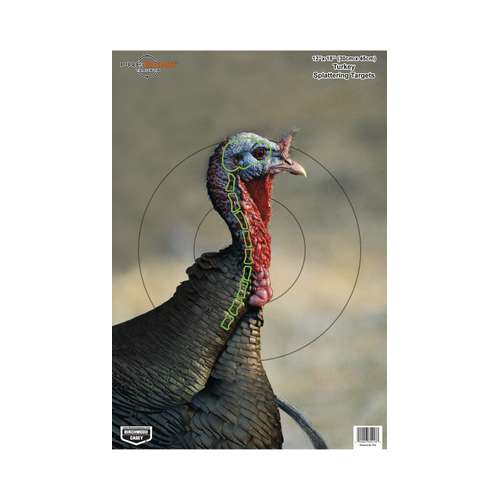 Birchwood Casey Dirty Bird PreGame Turkey Target 12"x18" 8 Pack