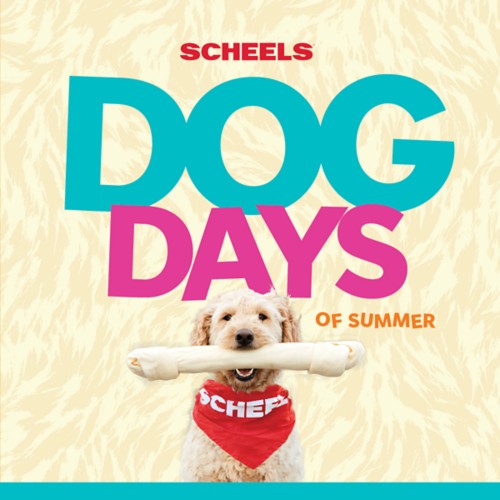 Chandler SCHEELS Dog Days Of Summer - Primary Image