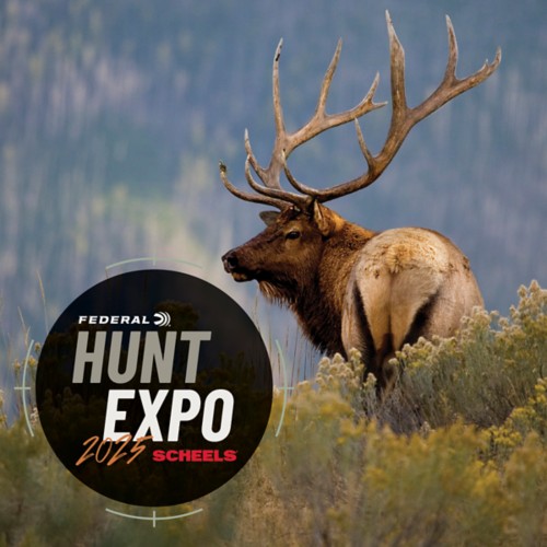 Colorado Springs Elk Calling with Phelps Game Calls