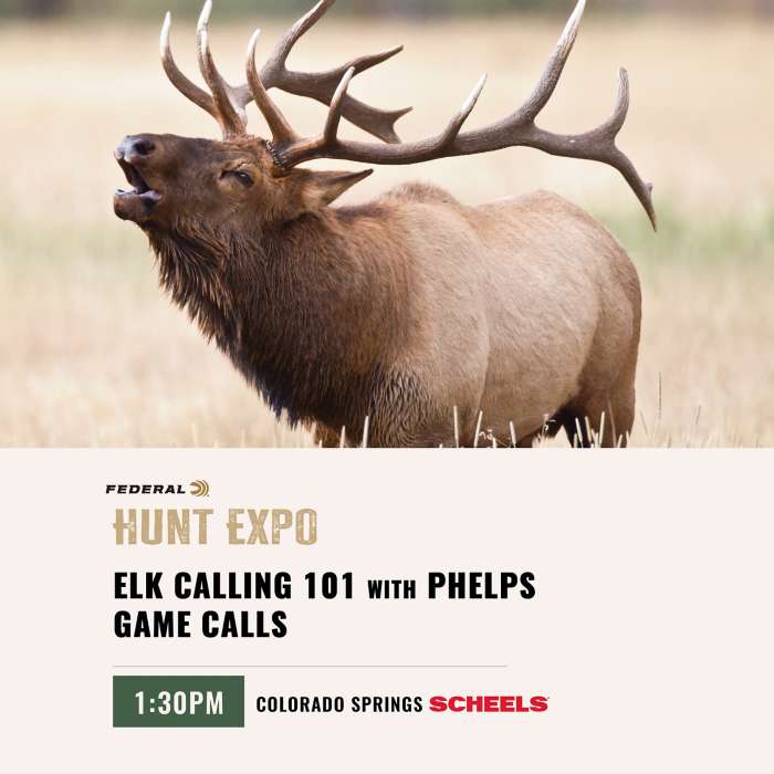 Colorado Springs WITZENBERG Elk Calling 101 with Phelps Game Calls