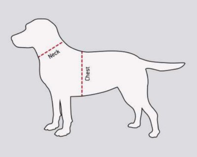 Carhartt dog sale coat size chart