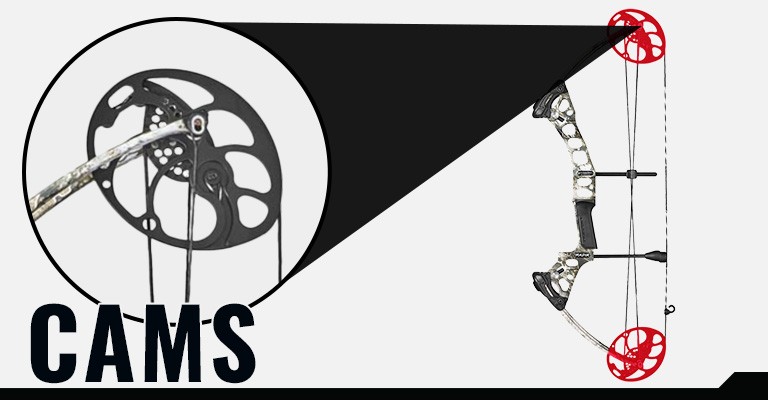 Parts of a Compound Bow: A Beginner’s Guide | SCHEELS.com