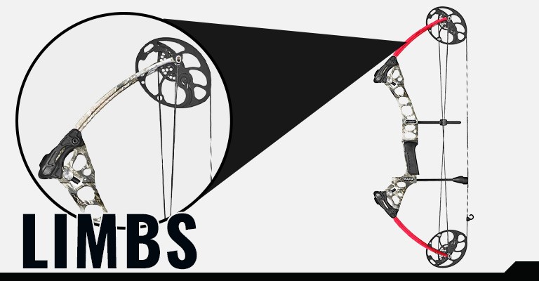 Labeled image of a compound bow with the limbs highlighted
