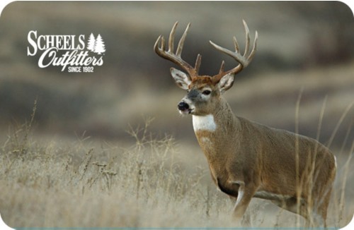 ScheelsOutfitters_Whitetail Thumbnail